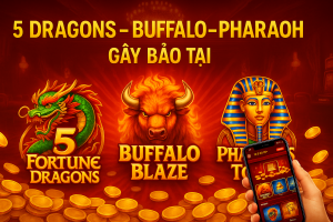 Khám Phá 5 Dragons Cùng LLWWIN